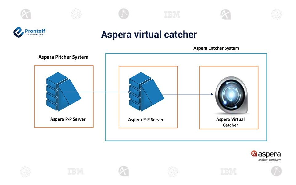 Aspera-virtual-catcher (1) Aspera-virtual-catcher (1)