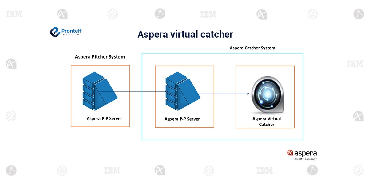 Aspera-virtual-catcher (1) Aspera-virtual-catcher (1)