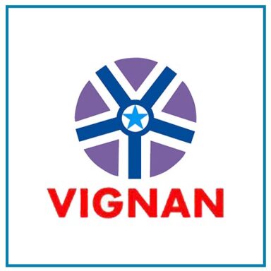 VIGNAN'S INSTITUTE OF INFORMATION TECHNOLOGY