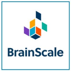 BrainScale