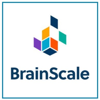 BrainScale