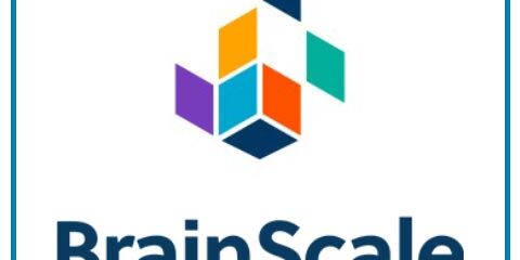 BrainScale