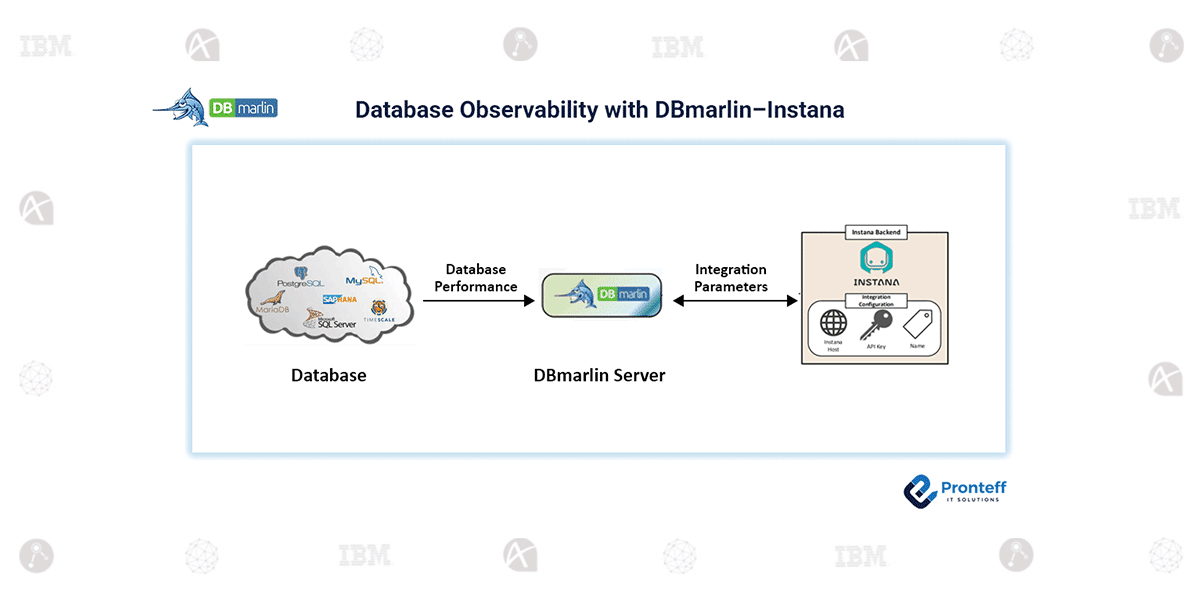 Database Observability with DBmarlin–Instana
