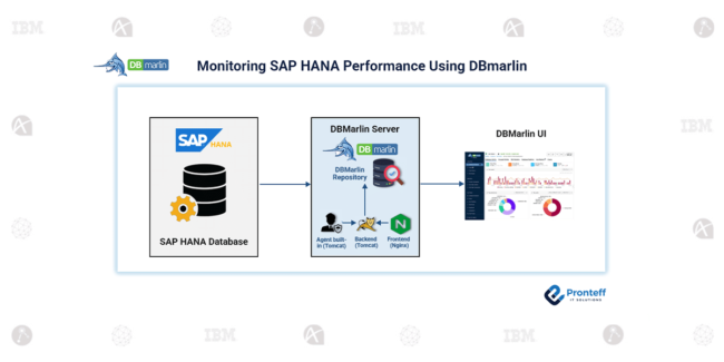 Monitoring SAP HANA Performance Using DBmarlin