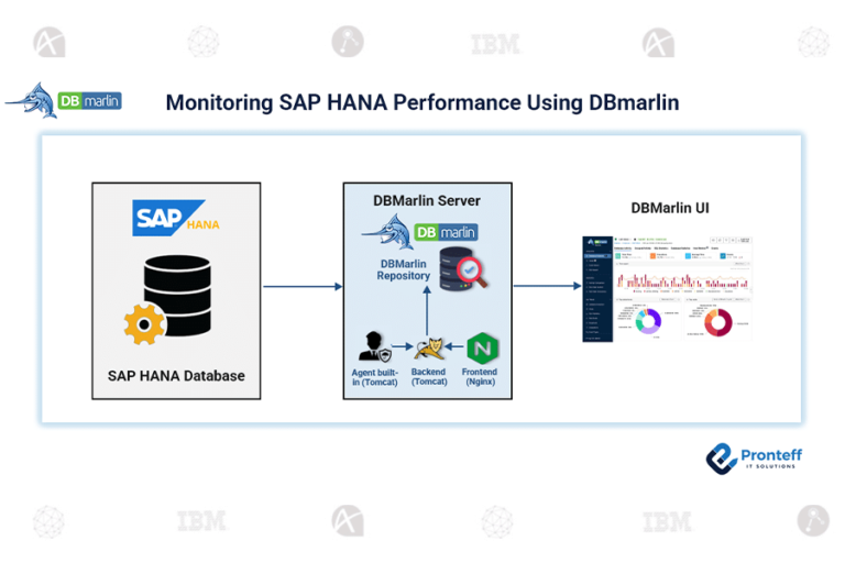 Monitoring SAP HANA Performance Using DBmarlin