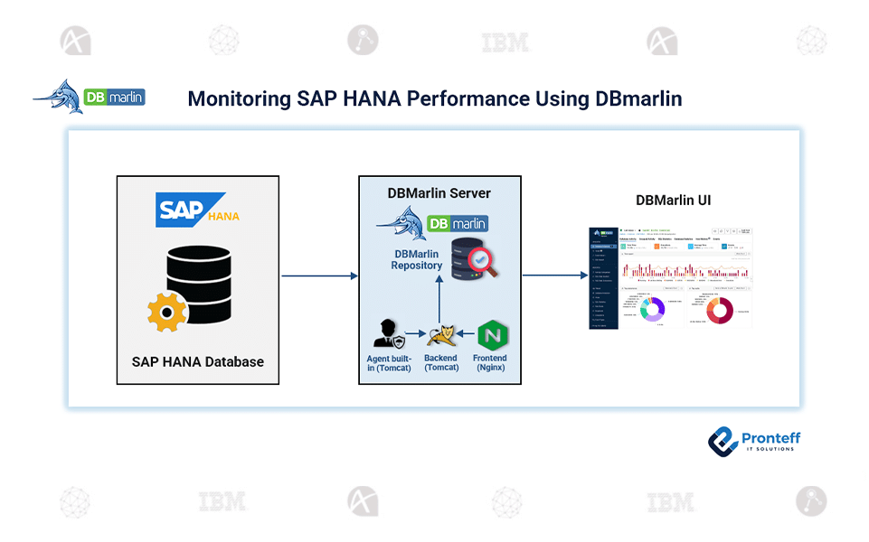 Monitoring SAP HANA Performance Using DBmarlin
