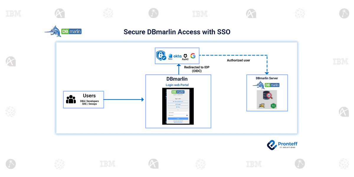 Secure-DBmarlin-Access-with-SSO Secure DBmarlin Access with SSO